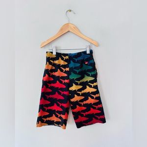 Aviator nation | boys cut off shark sweat shorts